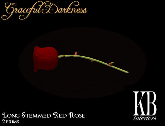 Long Stemmed Red Rose
