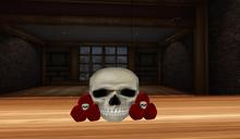 Skull~N~Roses