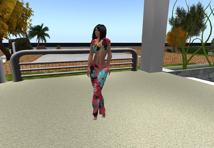 conjunto  roupa florida