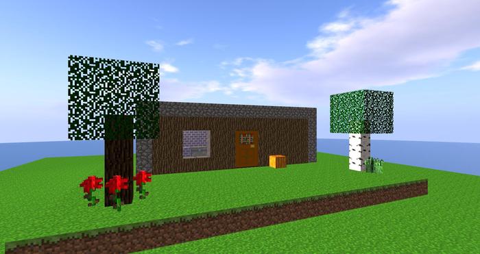 Minecraft House With Working Door C/M/NT
