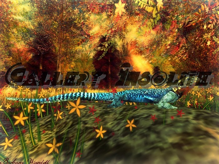 Gallery Insolite LE LEZARD