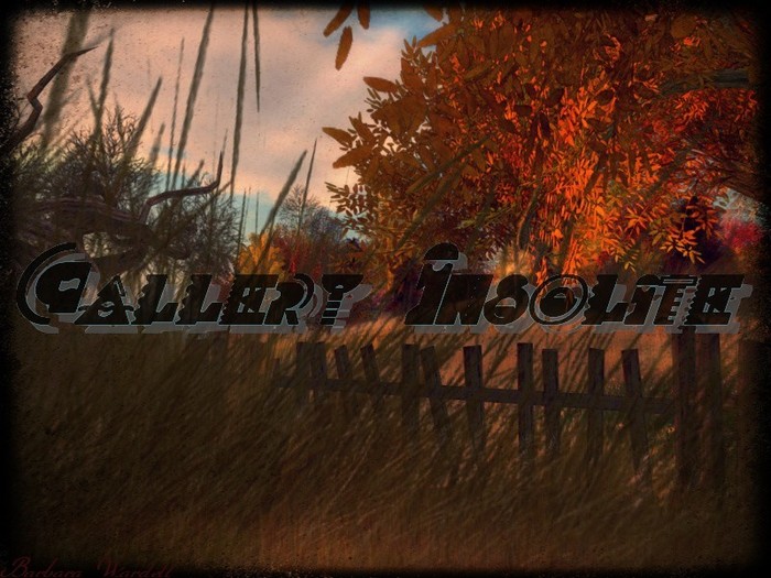 Gallery Insolite FENCE