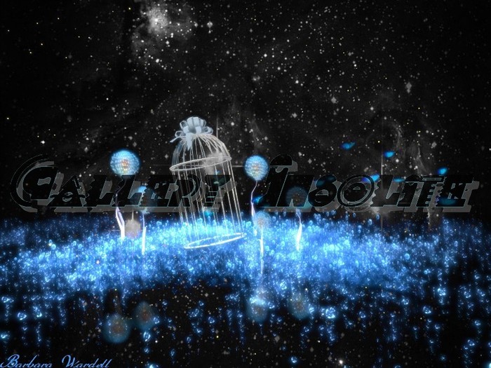 Gallery Insolite LIBERTE