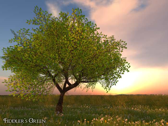 FG tree 4 green 5 (COPY) 