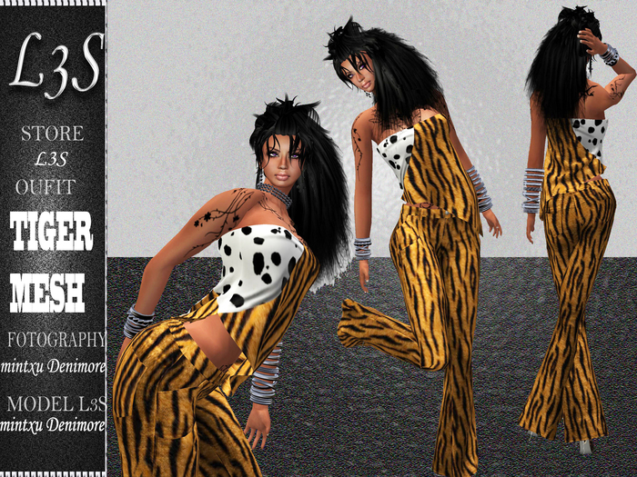 [ L3S ] TIGRE MESH