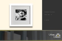 :UD: Framed Pictures - Kitten No. 6 