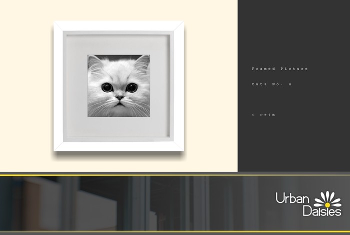 :UD: Framed Pictures - Kitten No. 4 