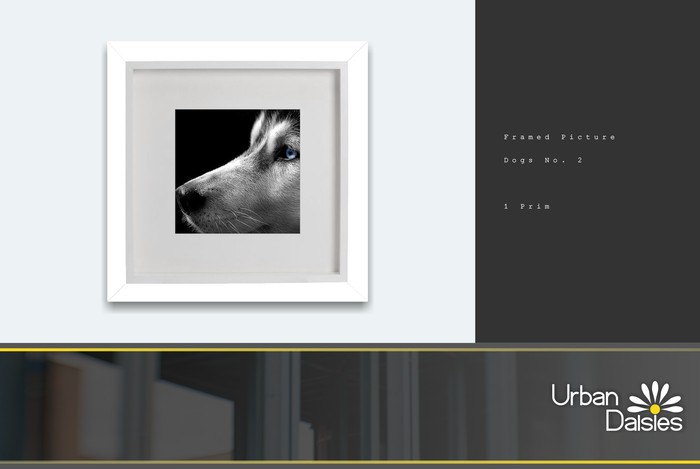 :UD: Framed Pictures - DOGS No. 2