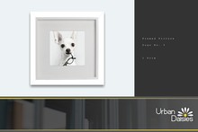 :UD: Framed Pictures - DOGS No. 3 