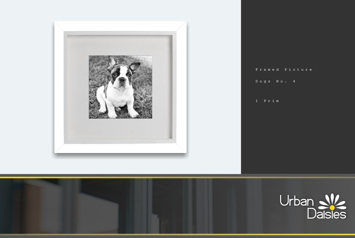 :UD: Framed Pictures - DOGS No. 4 