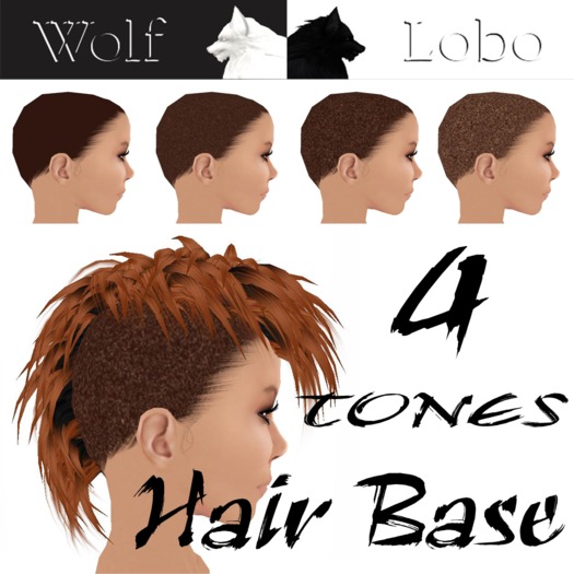 Hair Base Brown Style 2
