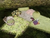 Second Life Marketplace - (SD)Mother nature birthing rug {APPLE BLOSSOM}