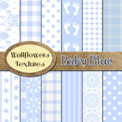*Wallflowers* Baby Blue