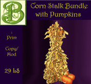Dry Corn  Stalks