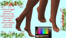 .:E&A:. Tip Toe RIGGED MESH feet