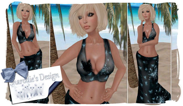 ~*~Shar's meshies~*~Witch