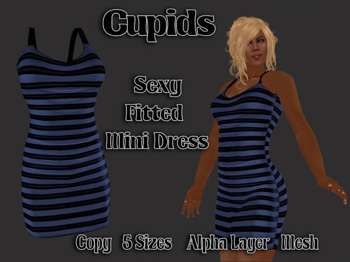 Mesh Striped Dress Navy