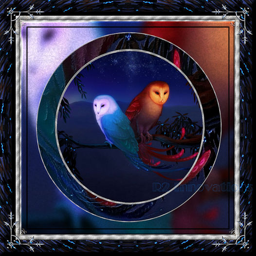Owls At Night Fire & Ice