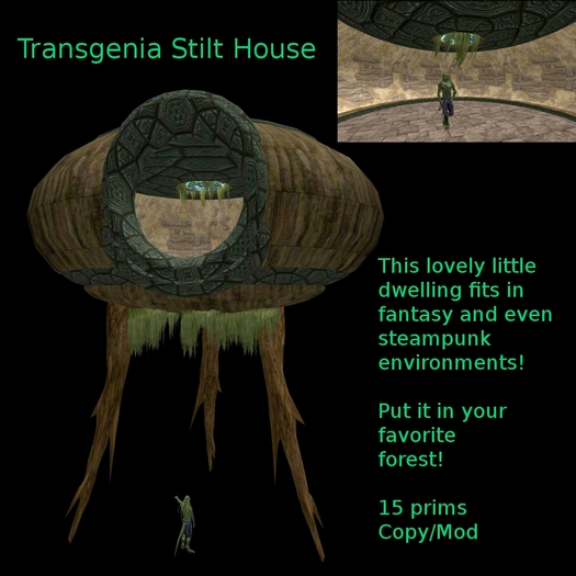 Transgenia Stilt House