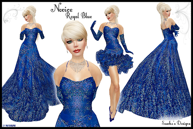 SAS - Novice Royal Blue Gown