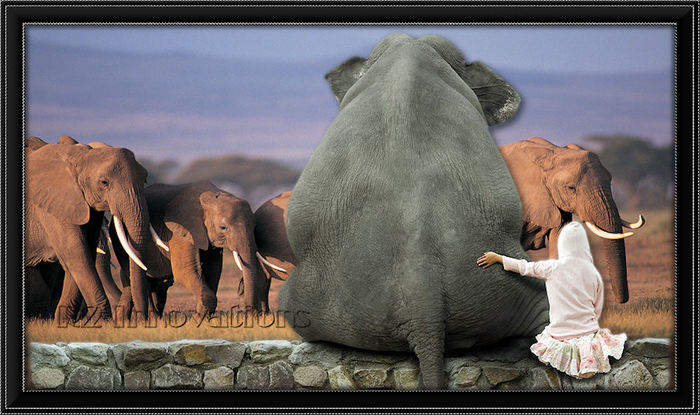 Elephant Sighting