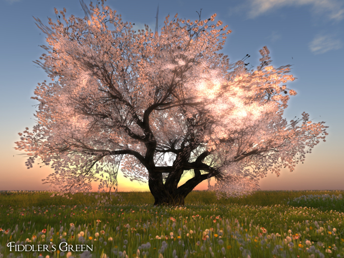 FG cherry 9 white (COPY)(BOX)