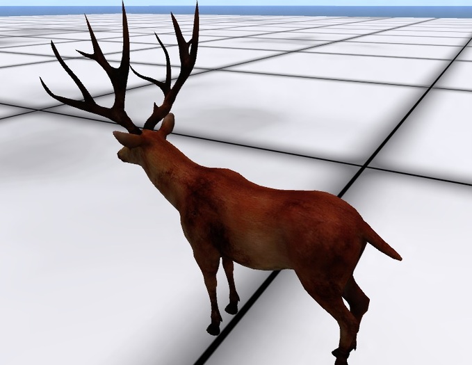 AMU - The Sleeping Buck!