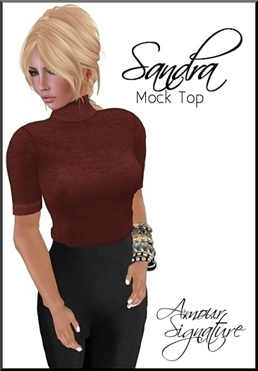 Amour Signature - Sandra MESH Top - Burnt Rose