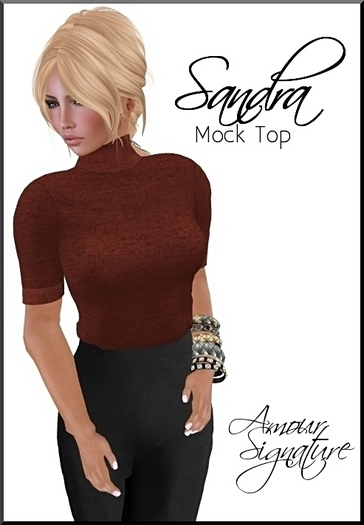 Amour Signature - Sandra MESH Top - Burnt Orange
