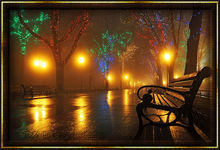 Park Bench At Night