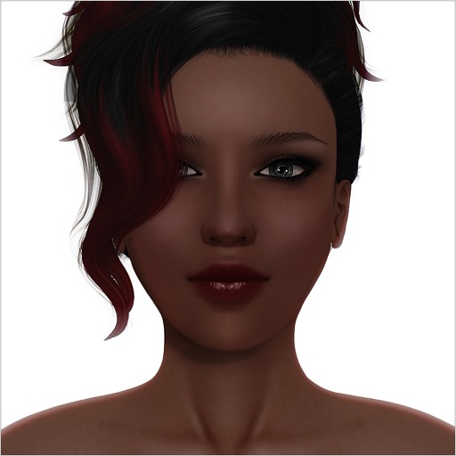 Vicky Skin [ Ebony ] Bundle 100 Makeups