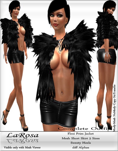 LaRosa Short Skirt Demo