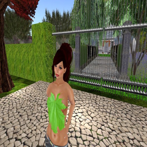 BBD - Green Leaf Top!