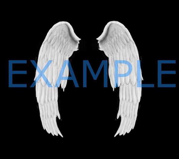 wings 3