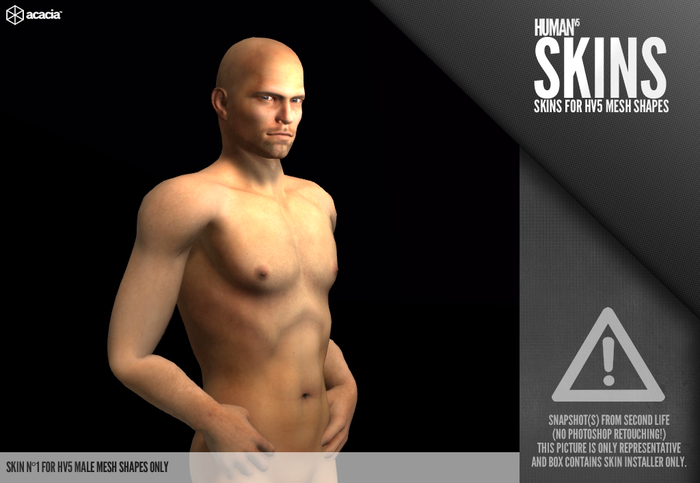 Horo - HV5 : Skin 1 (Male) (HUD - Skin Installer)