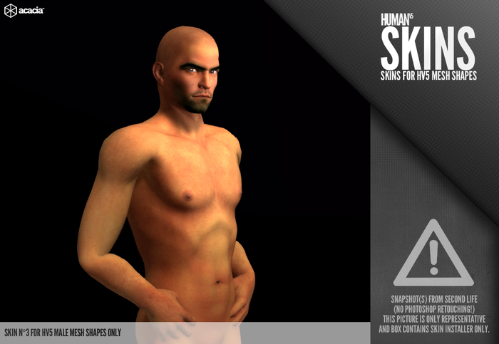 Horo - HV5 : Skin 3 (Male) (HUD - Skin Installer)