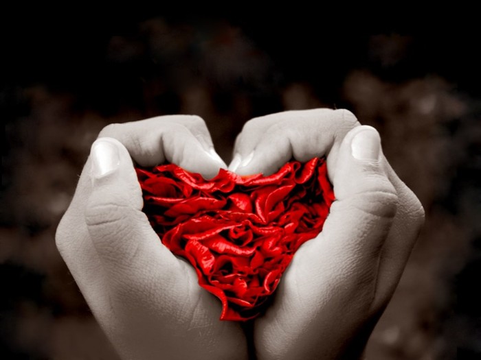 mi_corazon_hecho_de_petalos-1024x768 1