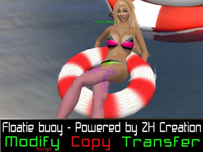 Floatie buoy camping system