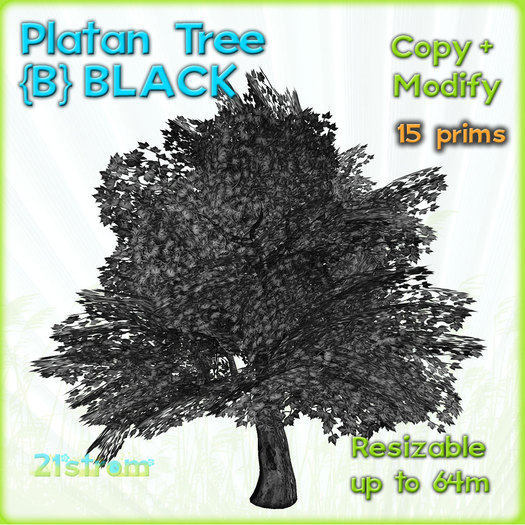 Platan Tree {B} -  BLACK winter tree. Copy and full modify - tintable photorealistic sculpted tree