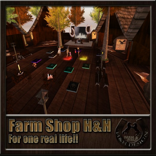 Farm Shop H&H - BOXED