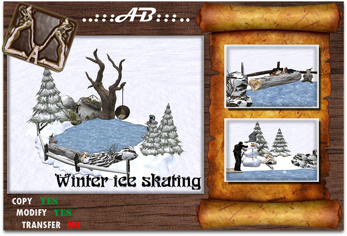 ..:::AB:::..Winter ice skating
