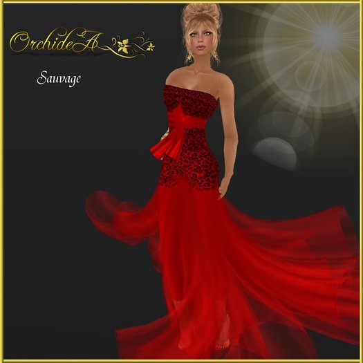 ** Orchidea**  sauvage red black