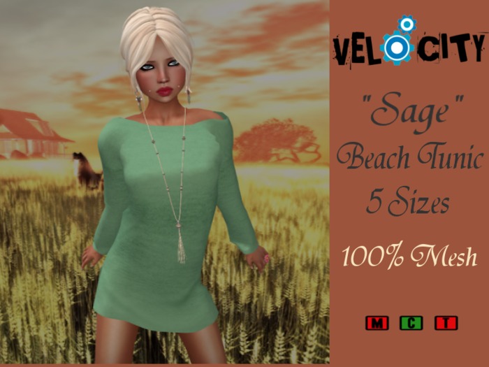 VELOCITY Sage Beach Tunic