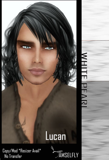 *~*Damselfly*~*Lucan White Pearl