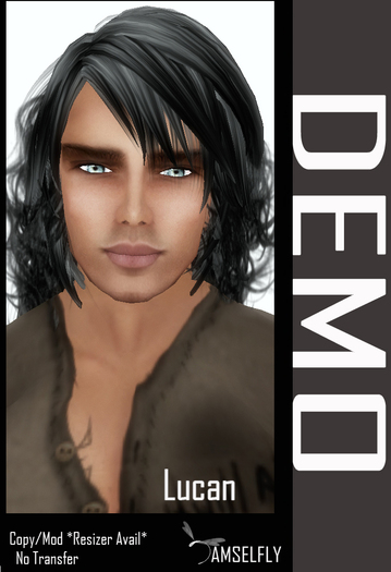 *~*DEMO*~*Damselfly*~*Lucan