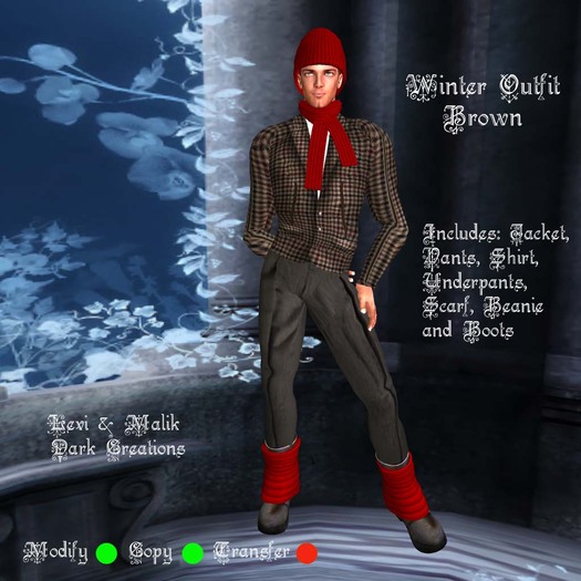 Winter Outfit Brown