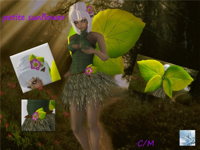 petite sunflower