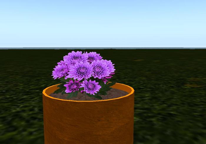 flower pot4