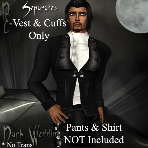 *DE Designs* Dark Wedding - Men's Vest Only