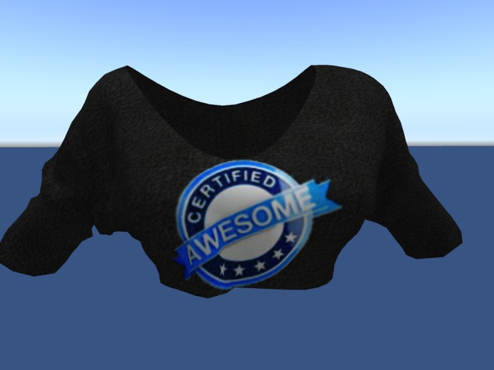 MESH awesome croptop